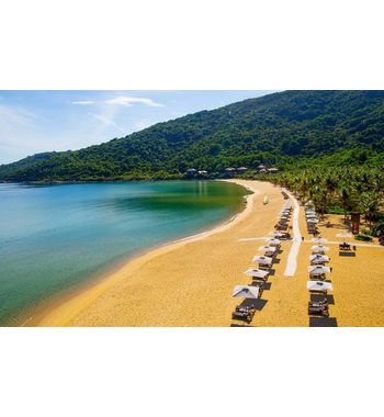 Дананг из Ташкента!